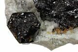 Sphalerite Crystal Cluster on Dolomite - Elmwood Mine #153325-3